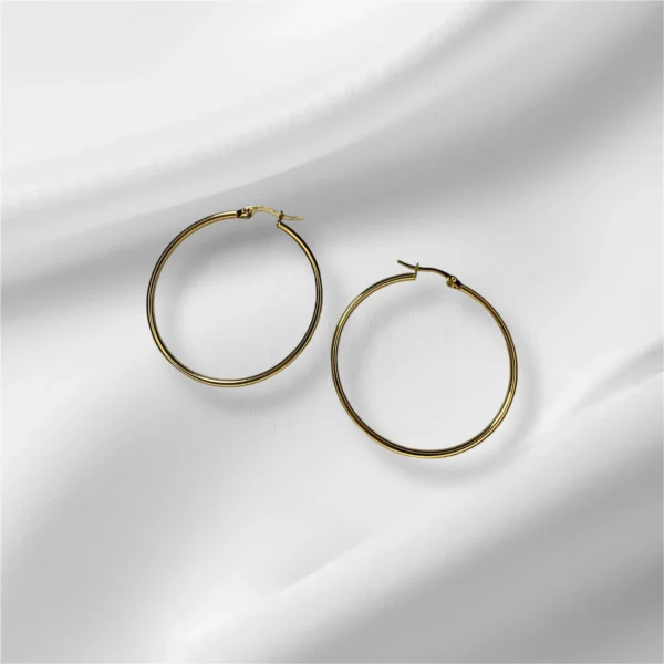 Stainless Steel Hoop Earrings - In Gold and Silver - Image 6